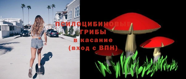 Альфа ПВП Елизово