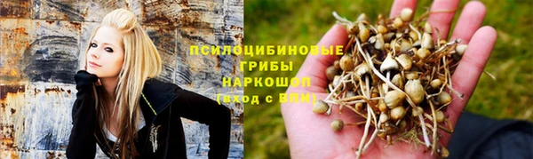 Альфа ПВП Елизово