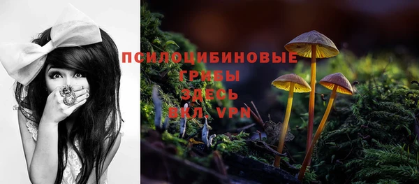 прущий лед Елабуга