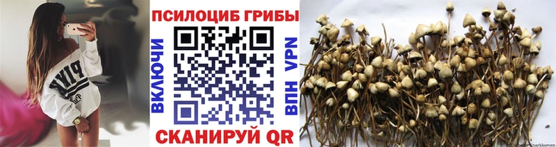 Галлюциногенные грибы прущие грибы Октябрьск